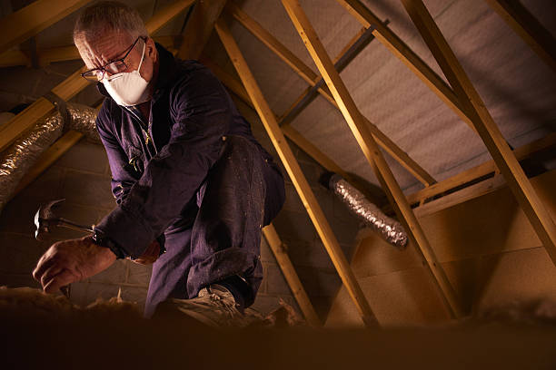 Best Commercial Insulation in Hebron, IN